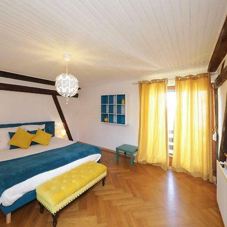 Maison Centre Ville Colmar Jacuzzi Jardin Et Climatisation Ngoại thất bức ảnh