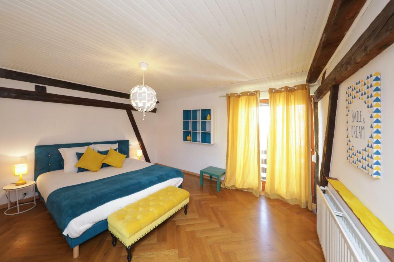 Maison Centre Ville Colmar Jacuzzi Jardin Et Climatisation Ngoại thất bức ảnh